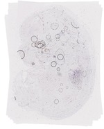EMAGE:20010