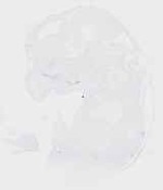 EMAGE:20031