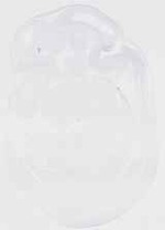 EMAGE:20033