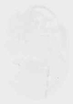 EMAGE:20035