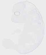 EMAGE:20041