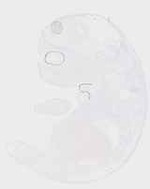 EMAGE:20052