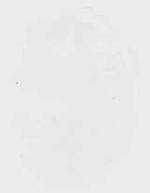 EMAGE:20064