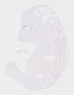 EMAGE:20073