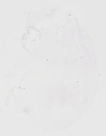 EMAGE:20074