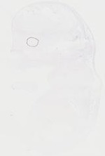 EMAGE:20090