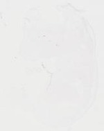 EMAGE:20090