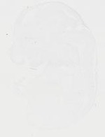EMAGE:20090