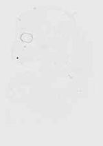 EMAGE:20106