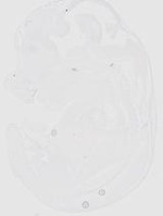 EMAGE:20163