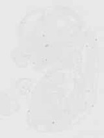 EMAGE:20420