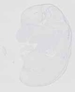 EMAGE:20623