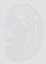 EMAGE:20629