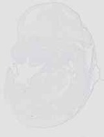 EMAGE:20629