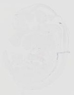 EMAGE:20643