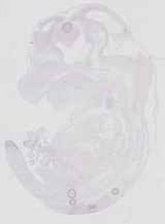 EMAGE:20705