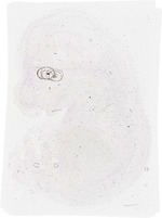 EMAGE:21005