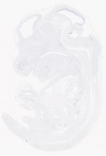 EMAGE:21017