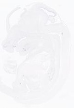 EMAGE:21017