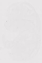 EMAGE:21041