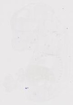 EMAGE:21065