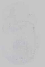 EMAGE:21121