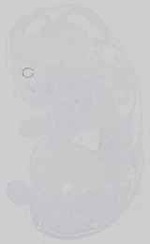 EMAGE:21153