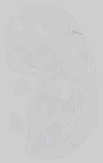 EMAGE:21153