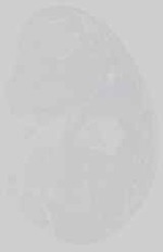 EMAGE:21153