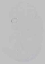 EMAGE:21162