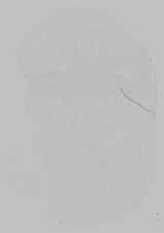 EMAGE:21162