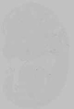 EMAGE:21162