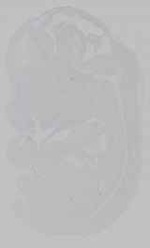 EMAGE:21163