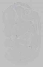 EMAGE:21163
