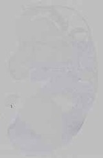 EMAGE:21163