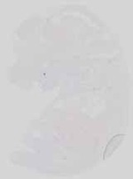 EMAGE:21258