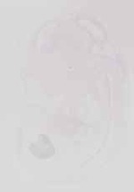 EMAGE:21274