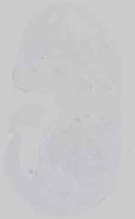 EMAGE:21652