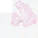 EMAGE:23412