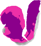 mouse atlas EMAGE spatial in situ gene expression database None