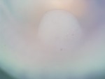 EMAGE:27011
