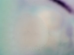 EMAGE:27292
