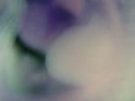 EMAGE:27560