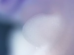 EMAGE:27575