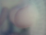 EMAGE:27585