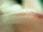 EMAGE:27706