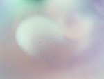 EMAGE:27773