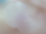 EMAGE:27778