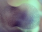 EMAGE:27788
