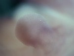 EMAGE:27903